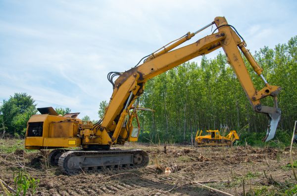 Farm Clearing in Newport Beach