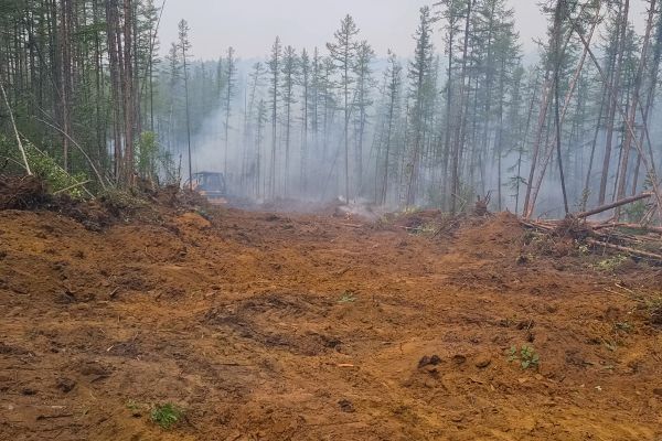 Cost of Hill Clearing in Newport Beach