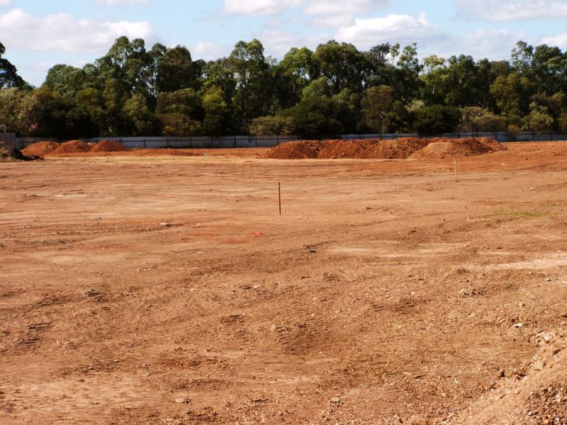 Commercial Site Clearing detail